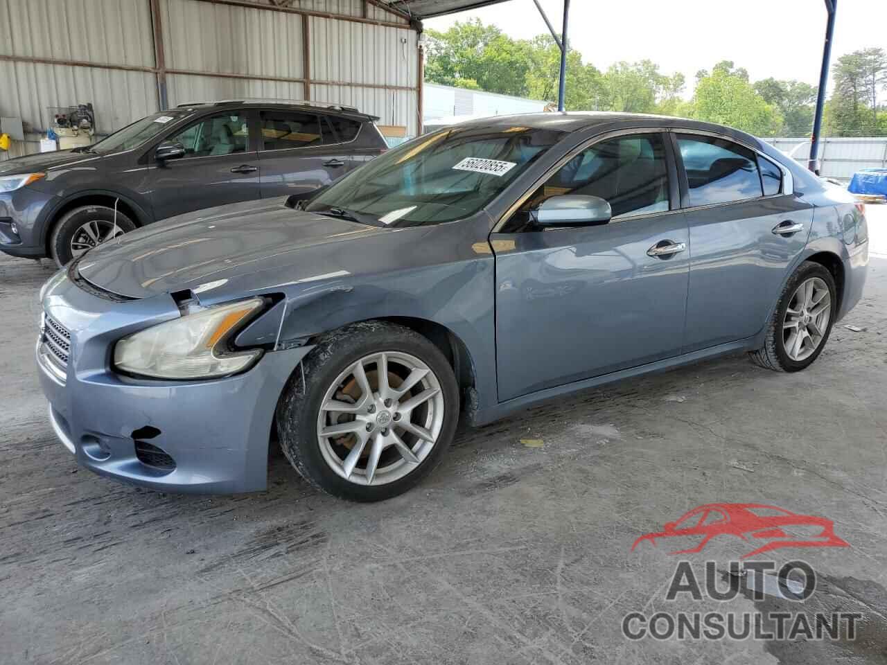 NISSAN MAXIMA 2010 - 1N4AA5AP1AC817073