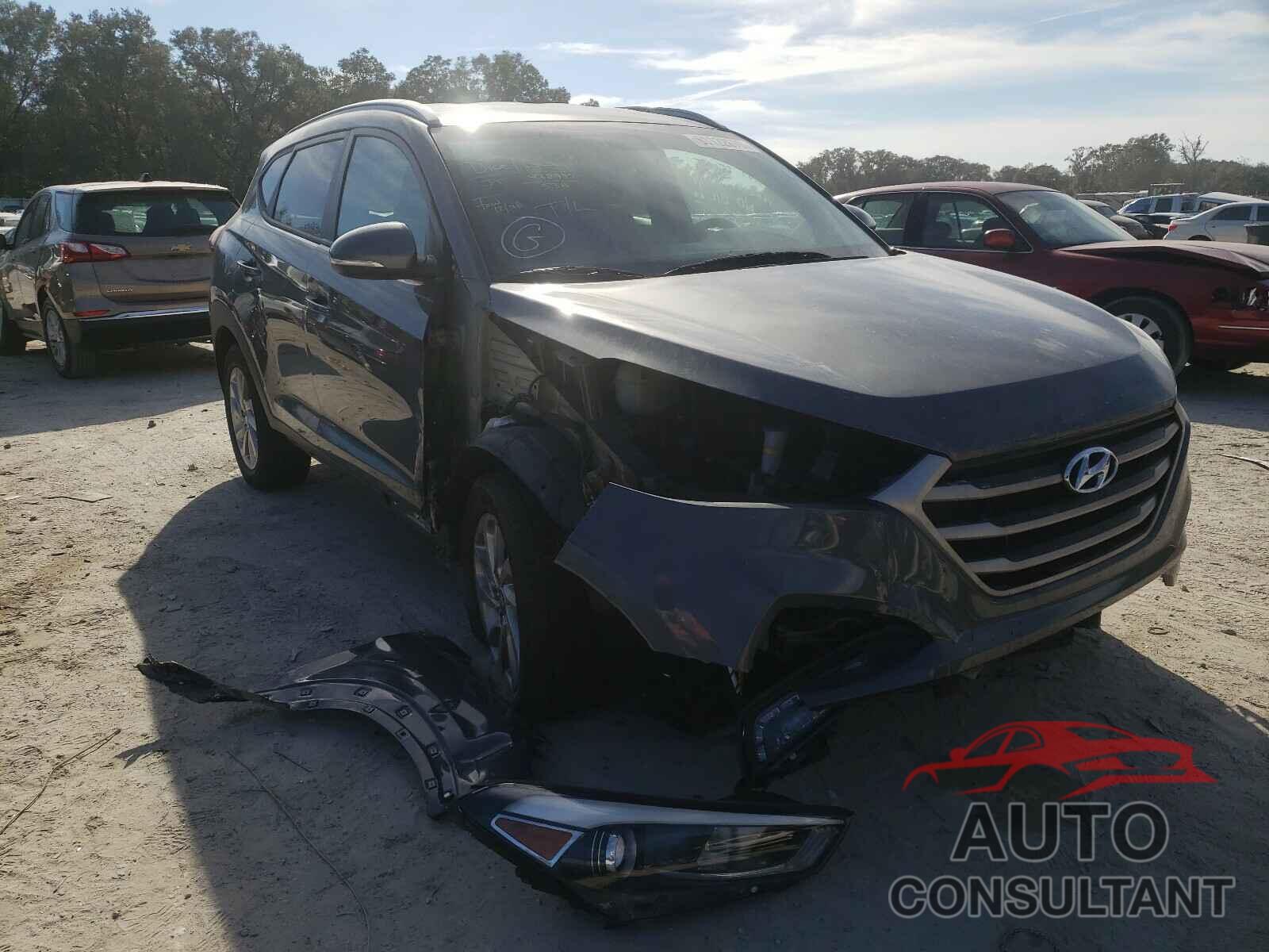 HYUNDAI TUCSON 2017 - KM8J33A43HU422343