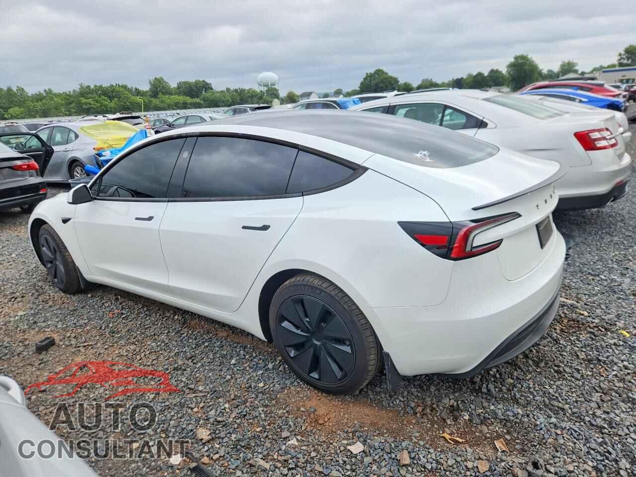 TESLA MODEL 3 2025 - 5YJ3E1EA8SF986193