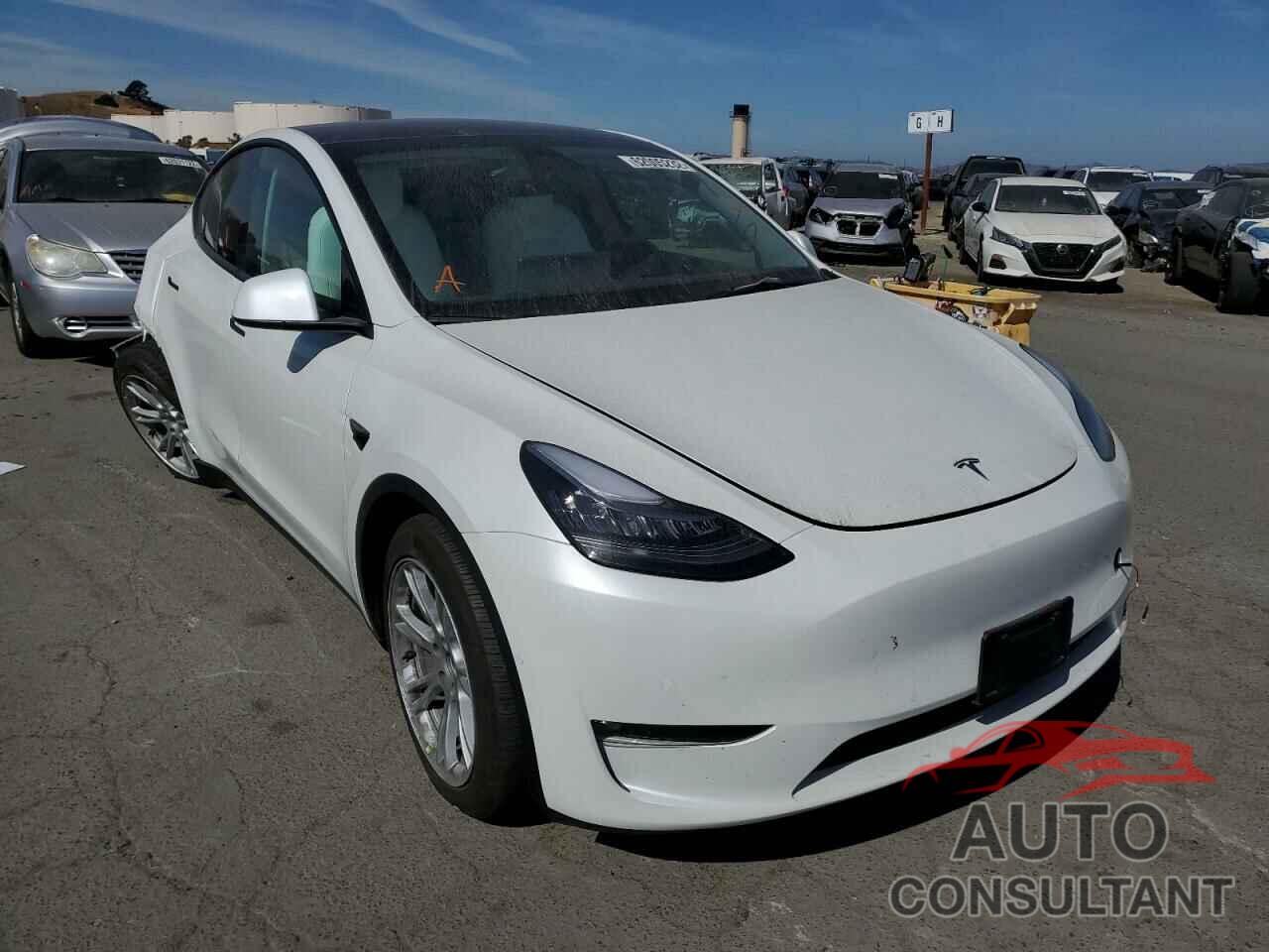 TESLA MODEL Y 2022 - 7SAYGDEE3NF355685