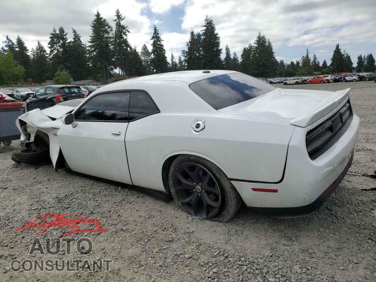 DODGE CHALLENGER 2019 - 2C3CDZBT3KH556965