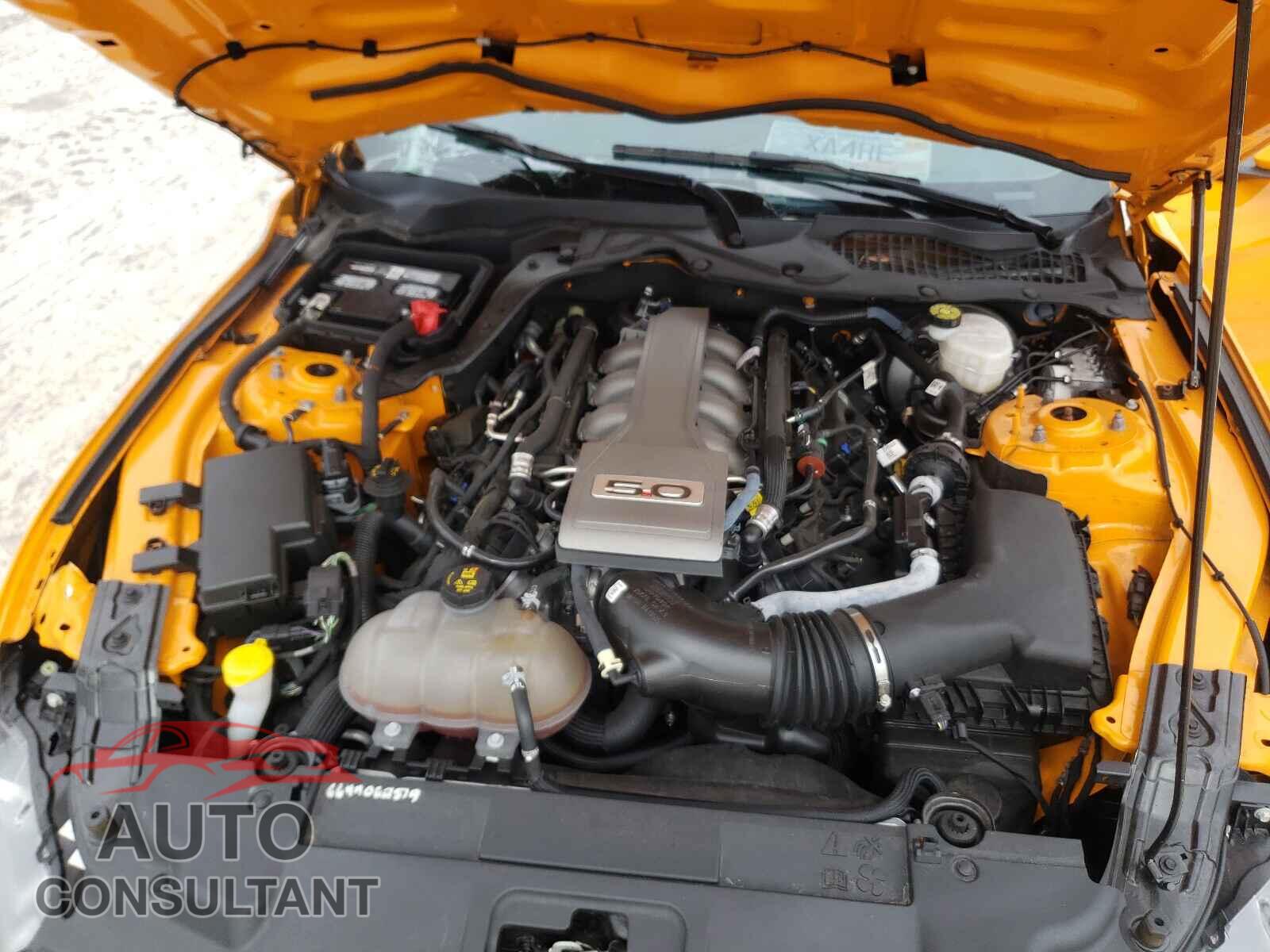 FORD MUSTANG 2019 - 1FA6P8CF2K5191579