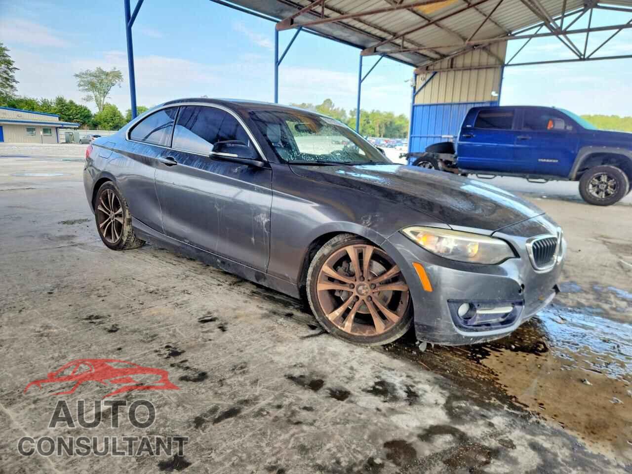 BMW 2 SERIES 2014 - WBA1F5C58EVV99793