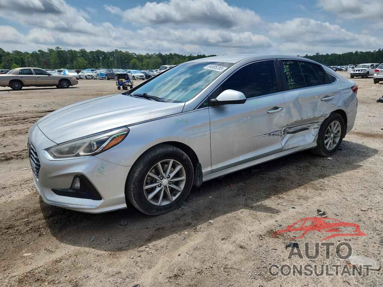 HYUNDAI SONATA 2019 - 5NPE24AF9KH796800