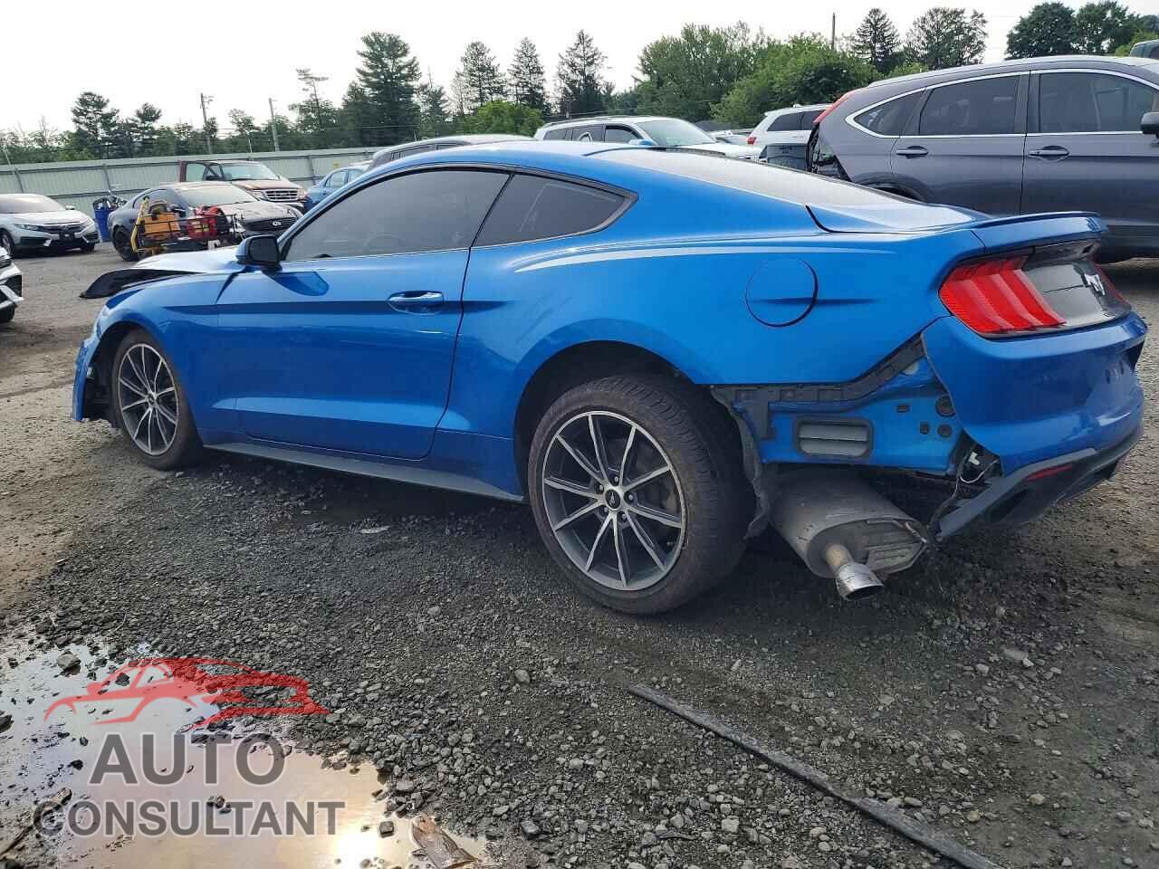 FORD MUSTANG 2019 - 1FA6P8THXK5117828