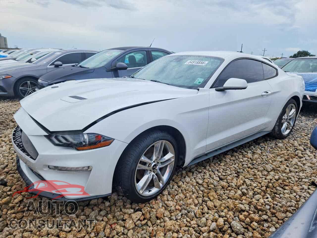 FORD MUSTANG 2021 - 1FA6P8TH0M5101057