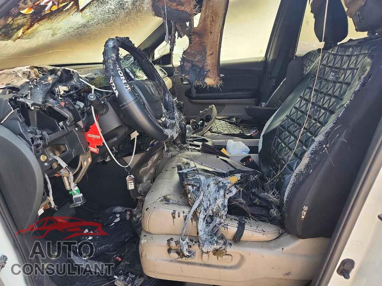 HONDA PILOT 2017 - 5FNYF6H50HB035610
