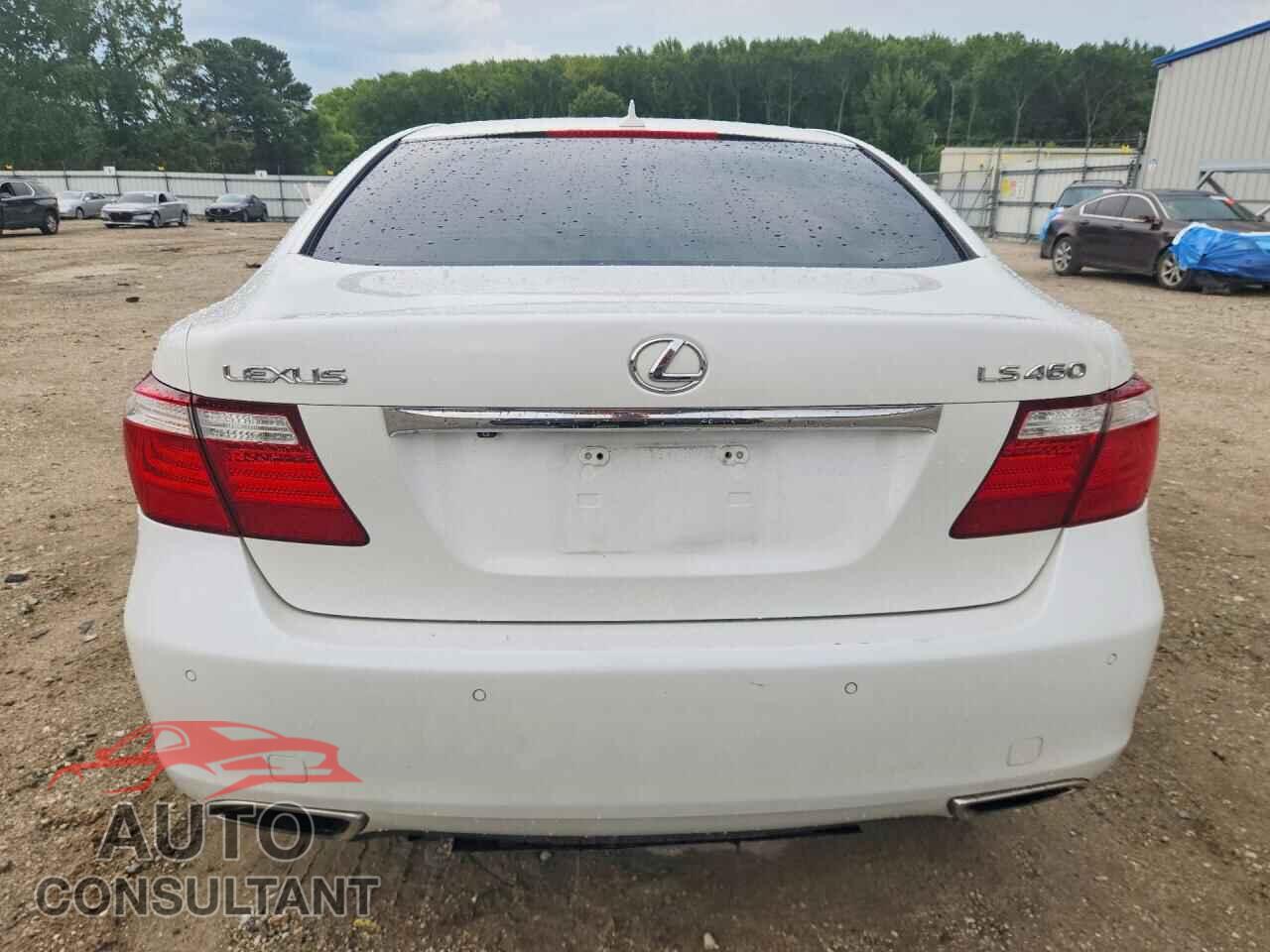 LEXUS LS460 2009 - JTHBL46F195090258