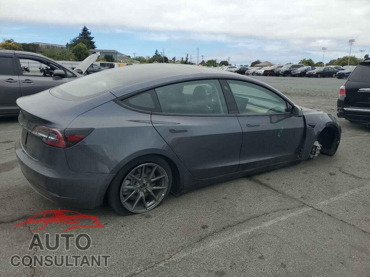 TESLA MODEL 3 2021 - 5YJ3E1EA5MF877791