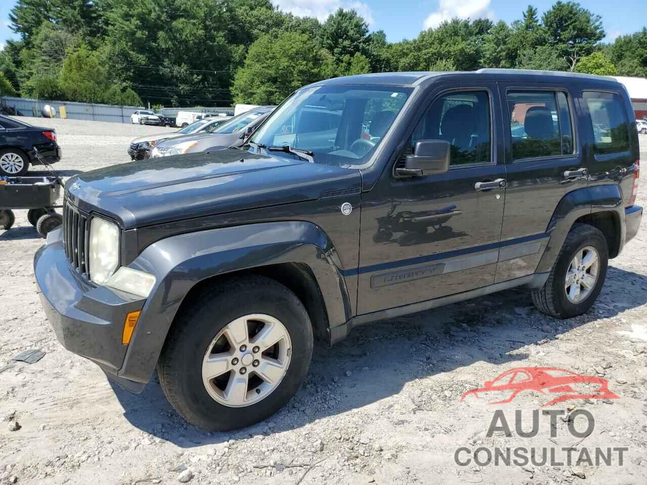 JEEP LIBERTY 2011 - 1J4PN2GK8BW565139