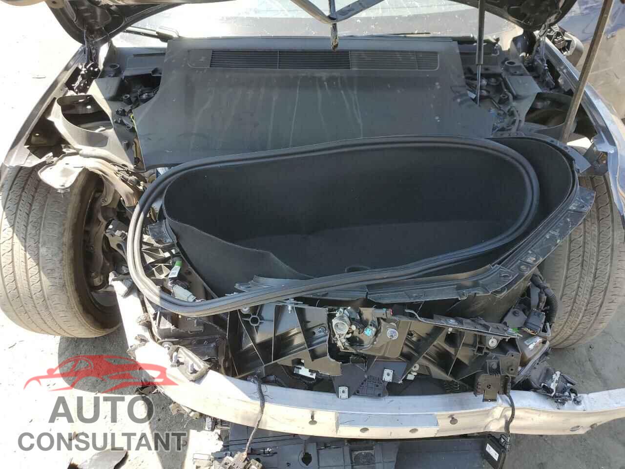 TESLA MODEL S 2023 - 5YJSA1E51PF511146