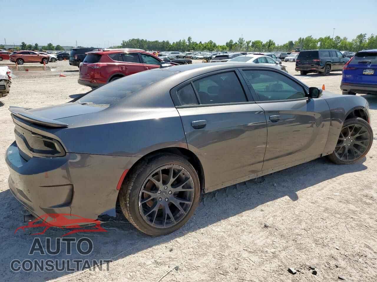 DODGE CHARGER 2019 - 2C3CDXCTXKH513100