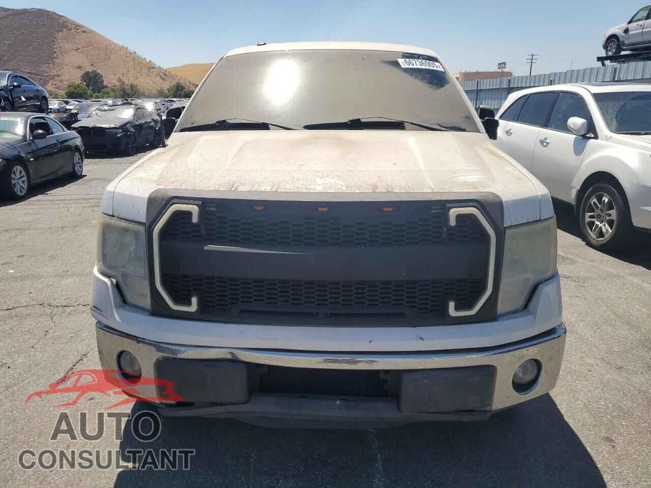 FORD F-150 2013 - 1FTFX1CF4DFB45542