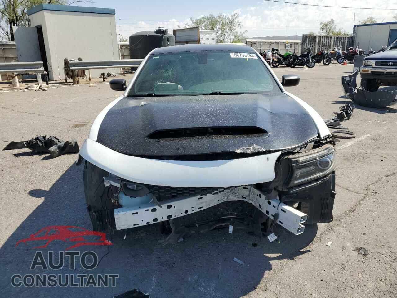 DODGE CHARGER 2019 - 2C3CDXHG7KH567157