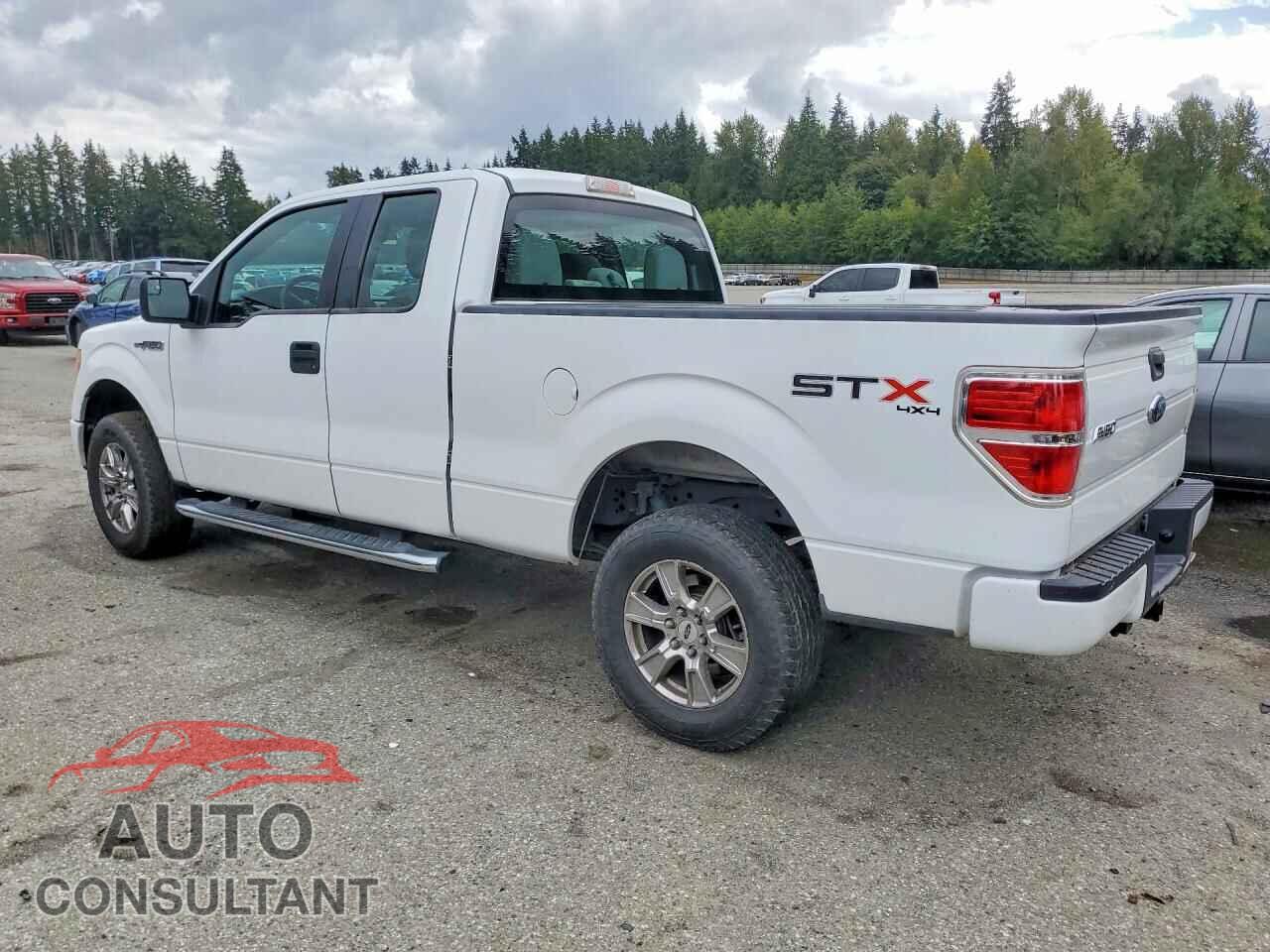 FORD F150 2013 - 1FTFX1EF7DFB26075