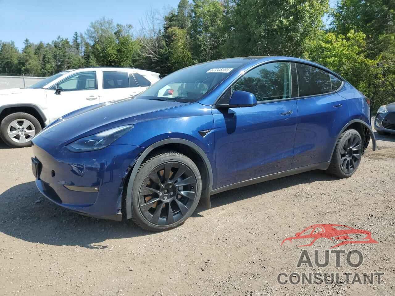 TESLA MODEL Y 2021 - 5YJYGDEE3MF301573