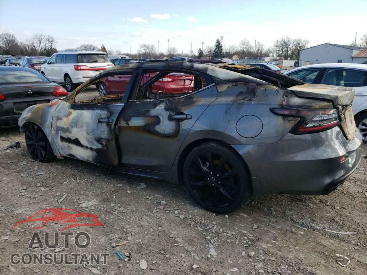NISSAN MAXIMA 2023 - 1N4AA6EV9PC502593