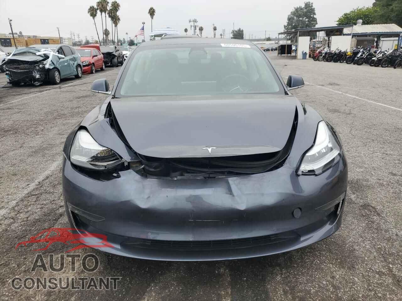 TESLA MODEL 3 2019 - 5YJ3E1EA2KF396328