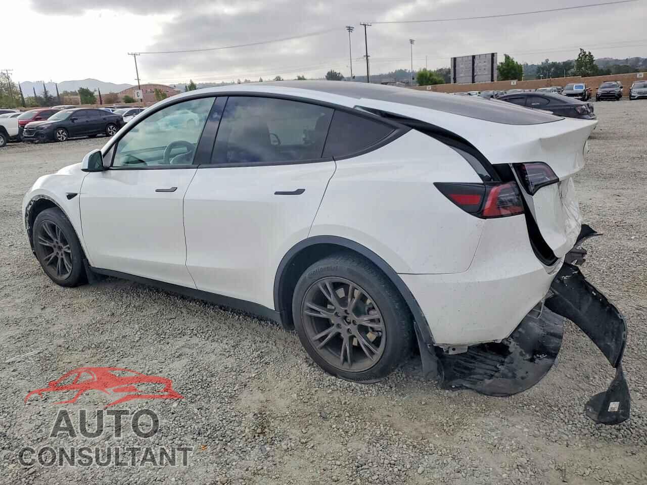 TESLA MODEL Y 2024 - 7SAYGDEE6RF213093