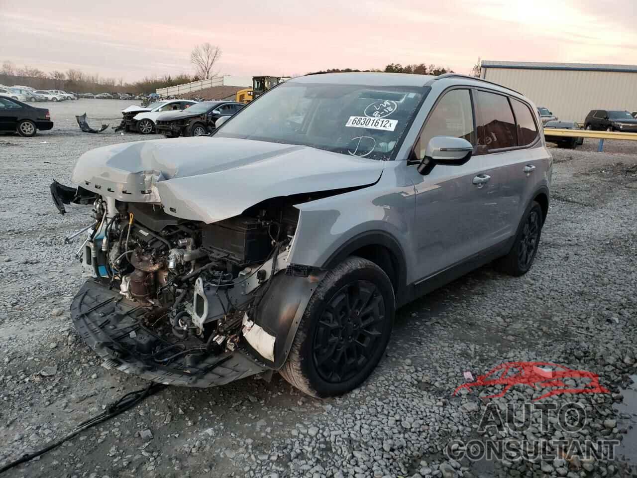 KIA TELLURIDE 2021 - 5XYP3DHC5MG181446