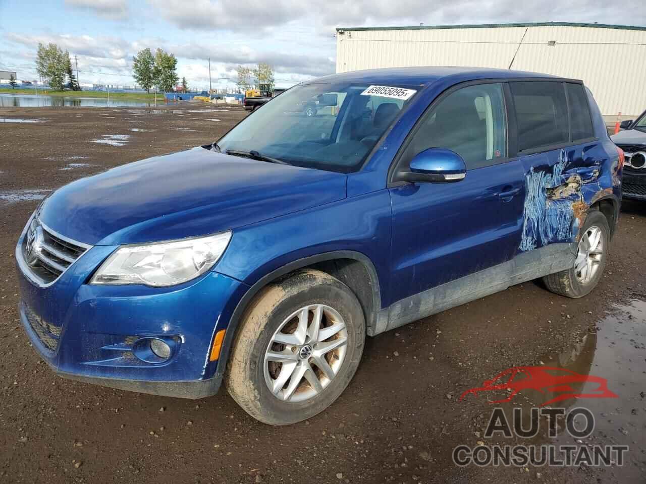 VOLKSWAGEN TIGUAN 2010 - WVGBV7AX5AW003596