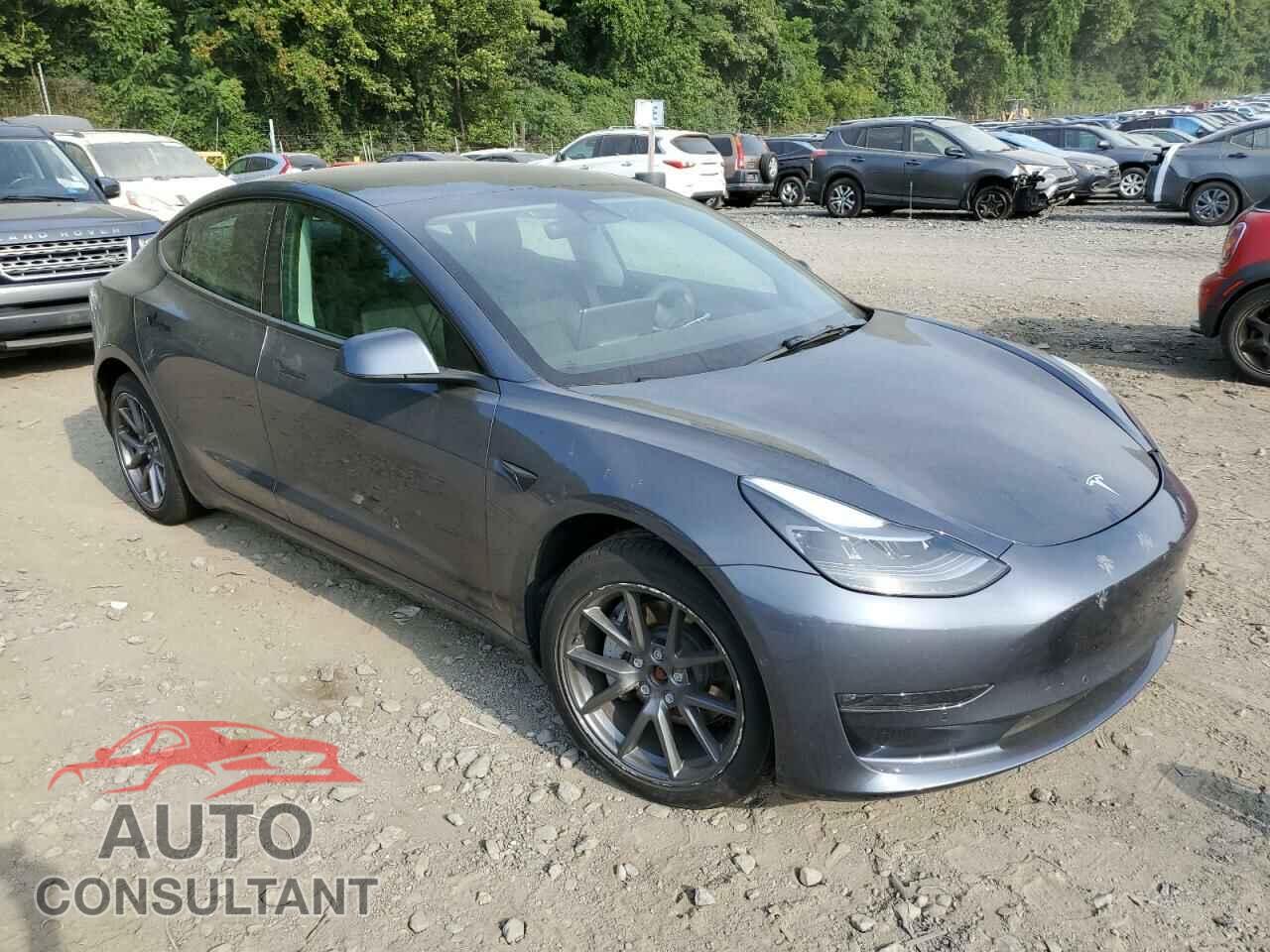 TESLA MODEL 3 2022 - 5YJ3E1EB2NF176328