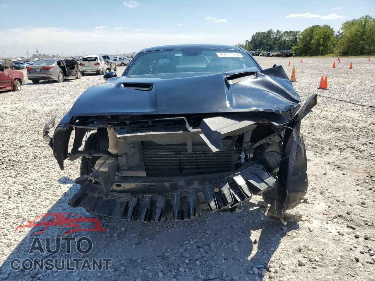 DODGE CHALLENGER 2019 - 2C3CDZAG9KH672045