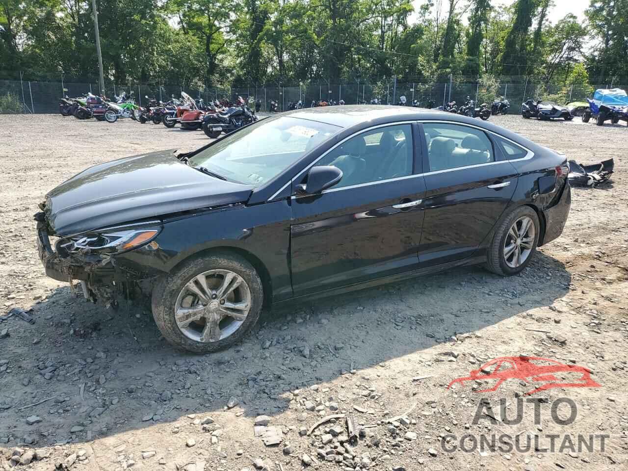 HYUNDAI SONATA 2018 - 5NPE34AF7JH651427