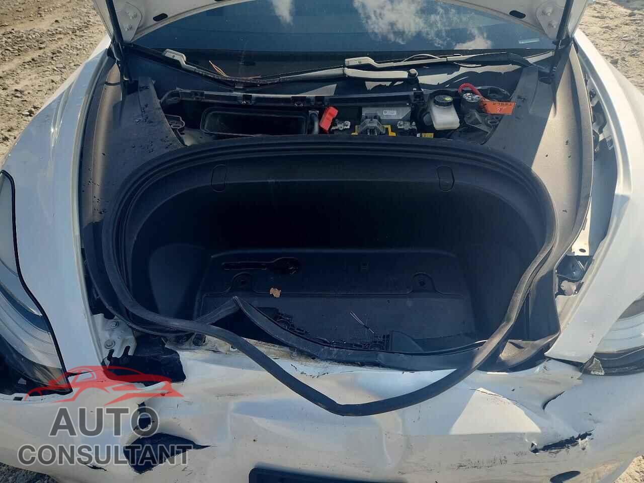 TESLA MODEL 3 2019 - 5YJ3E1EB4KF513660