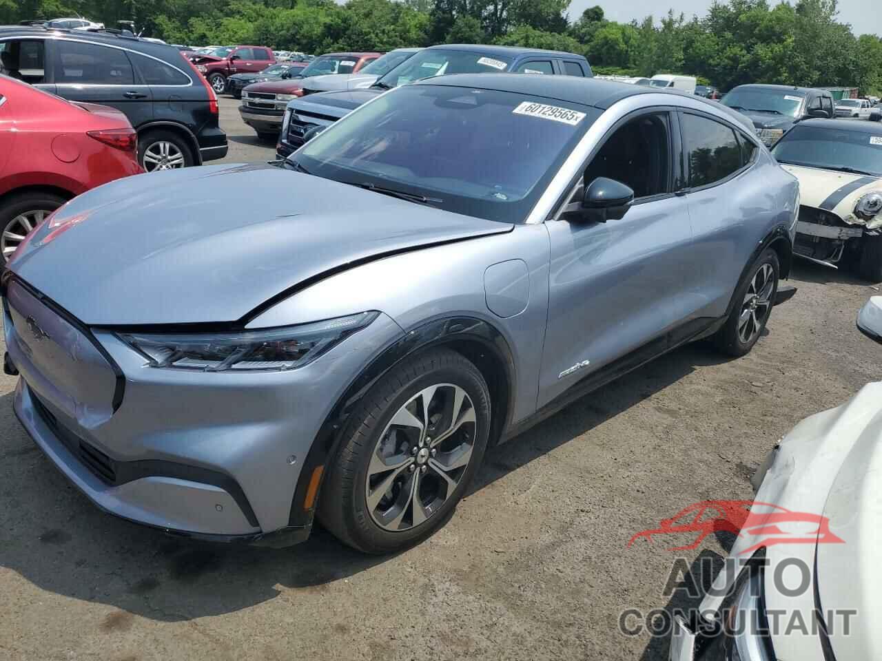 FORD MUSTANG 2022 - 3FMTK3SS2NMA17406