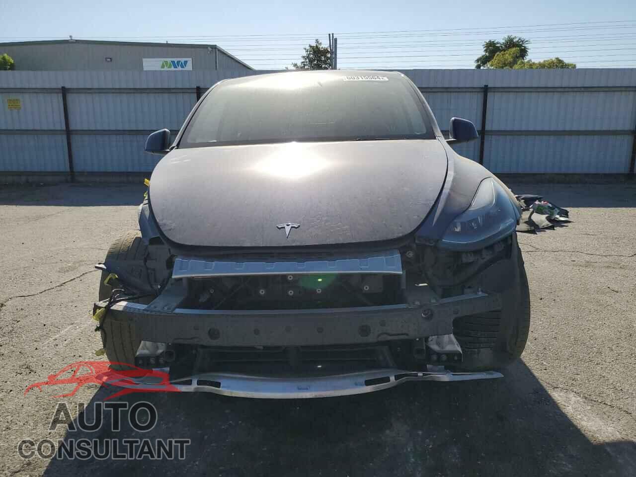 TESLA MODEL Y 2022 - 7SAYGAEE7NF551675