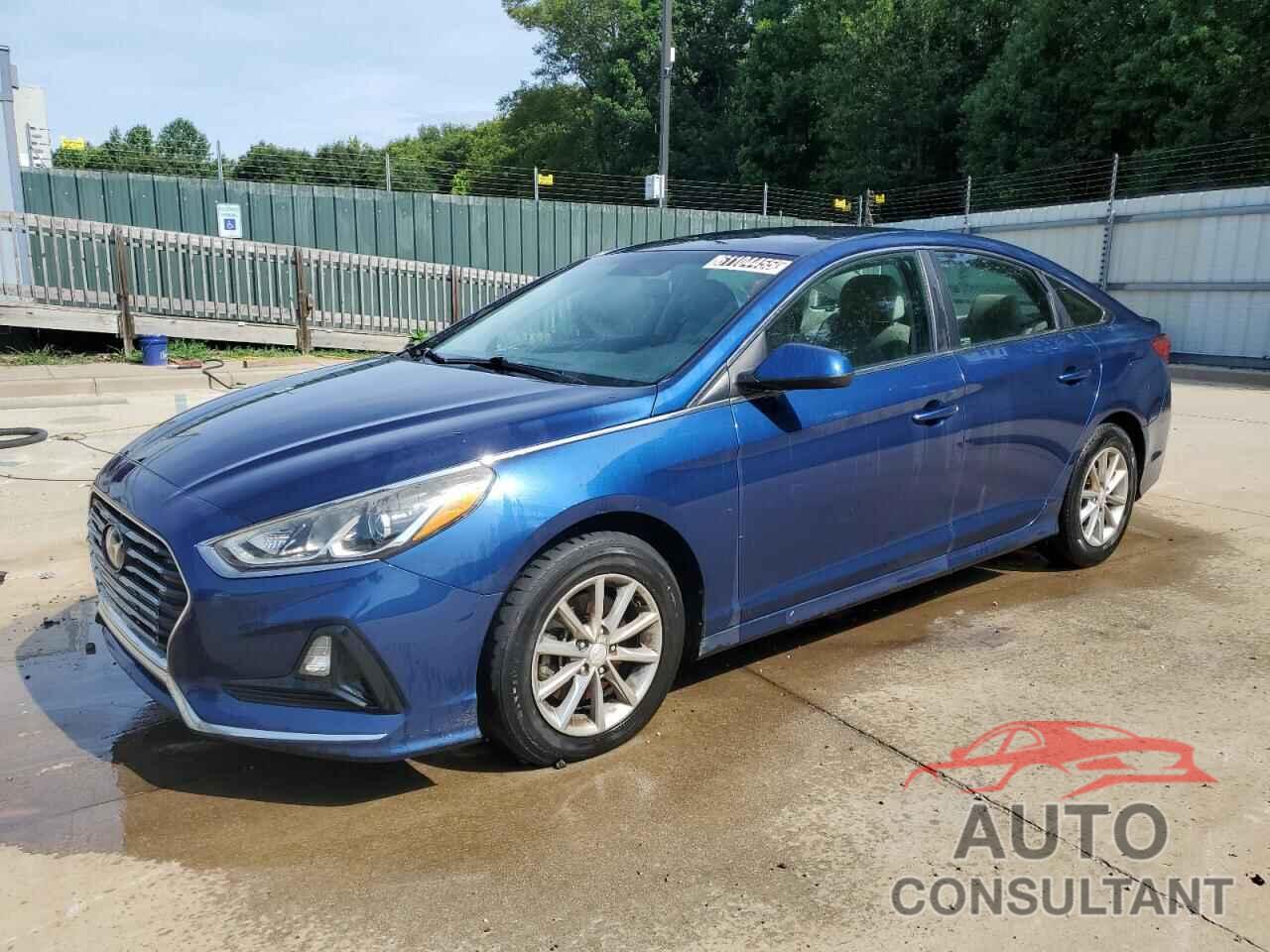 HYUNDAI SONATA 2019 - 5NPE24AF6KH736361