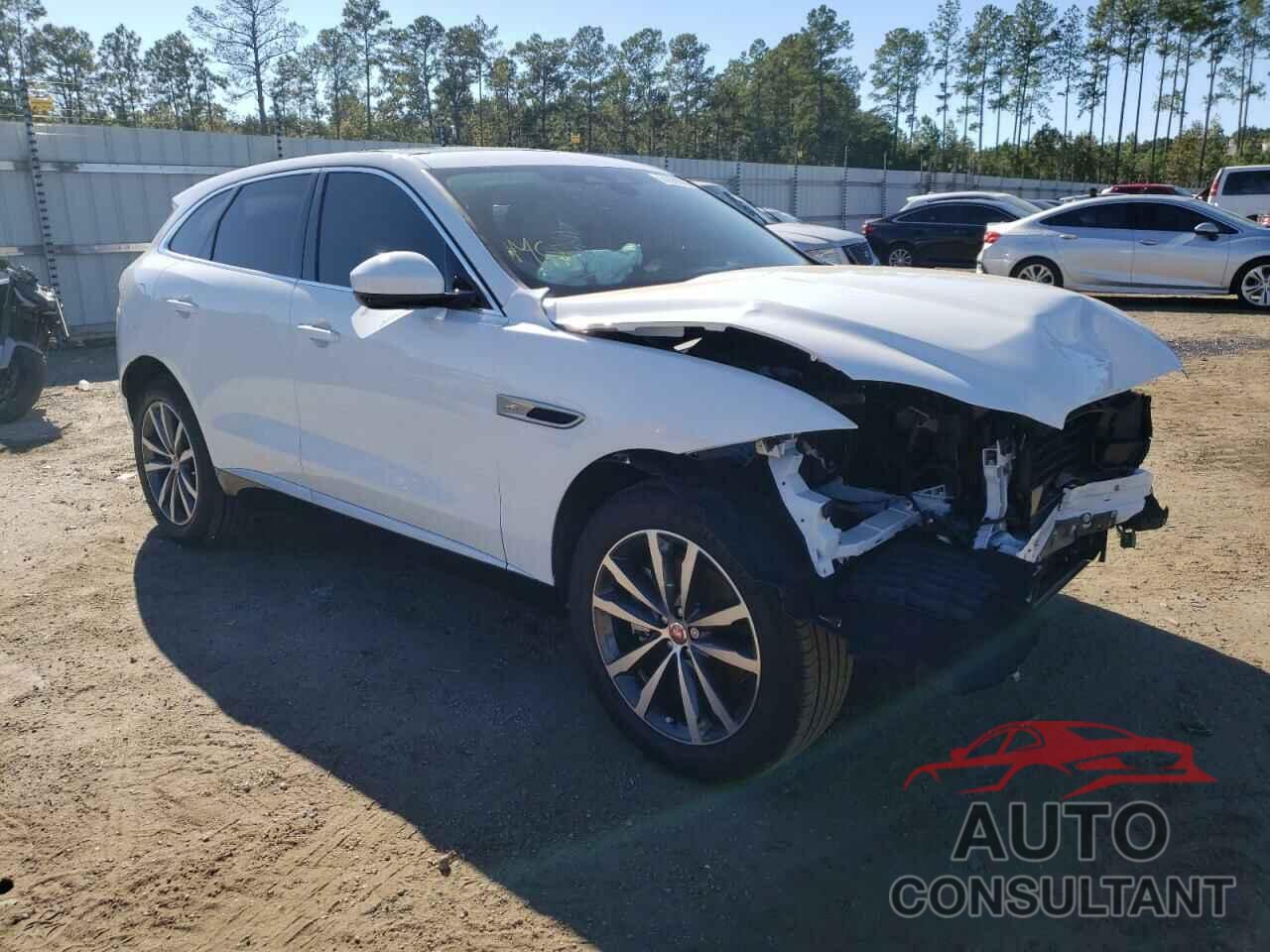 JAGUAR F-PACE 2021 - SADCJ2EX5MA681076