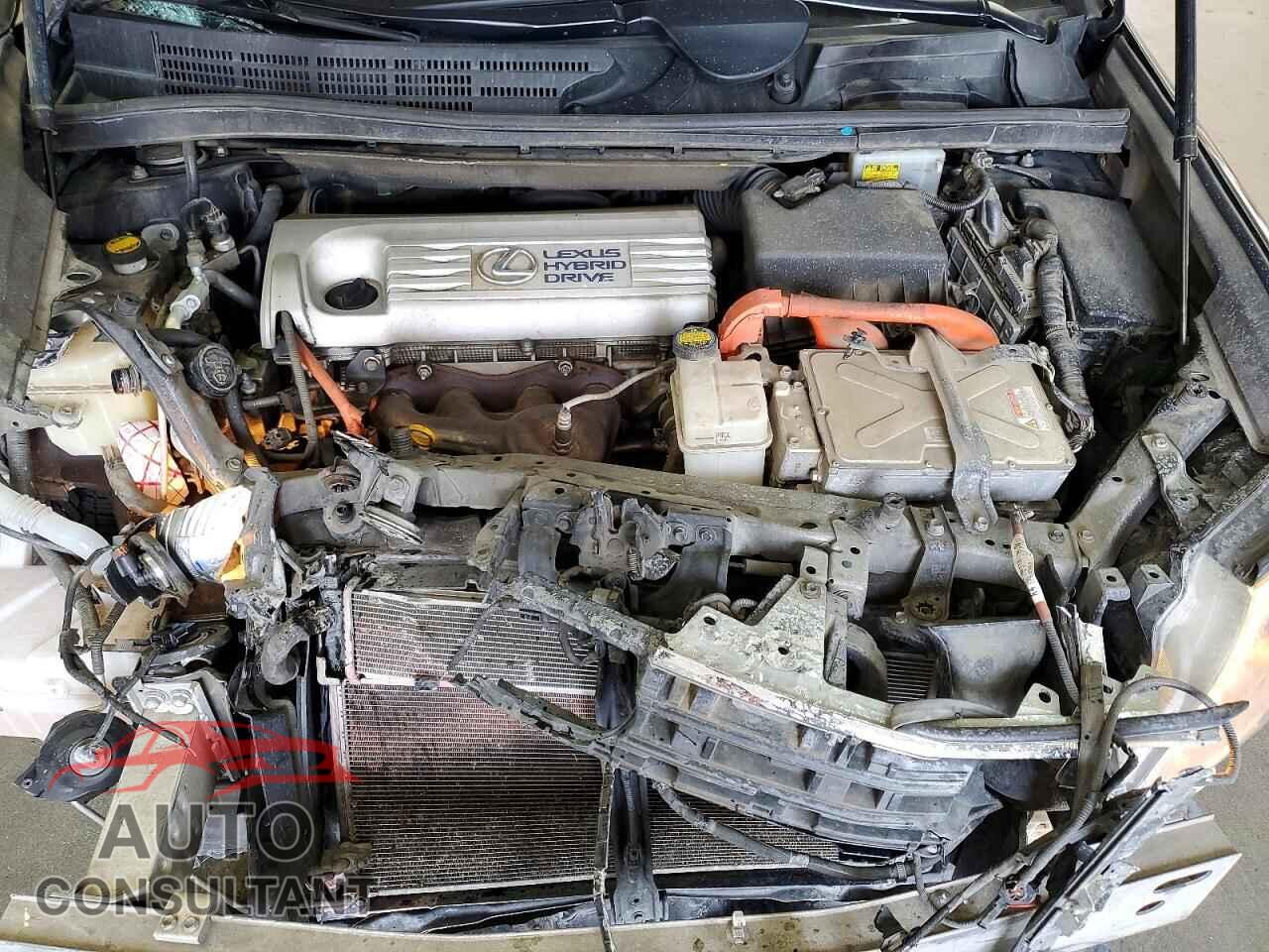 LEXUS HS 2010 - JTHBB1BA8A2023139