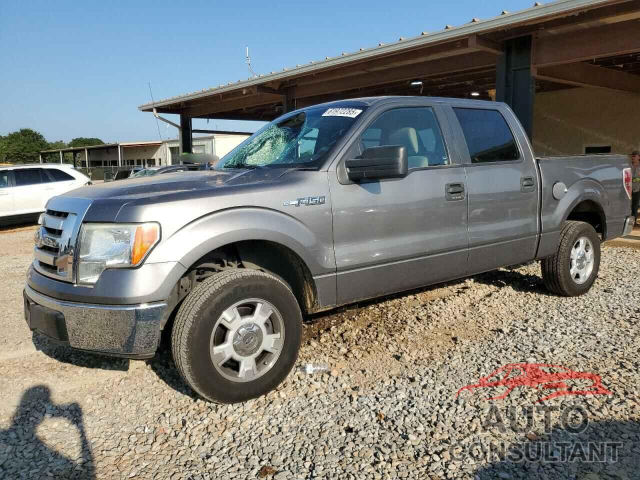 FORD F-150 2009 - 1FTRW12869FA73379
