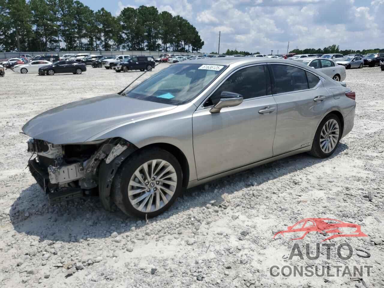 LEXUS ES300 2021 - 58AFA1C19MU007114