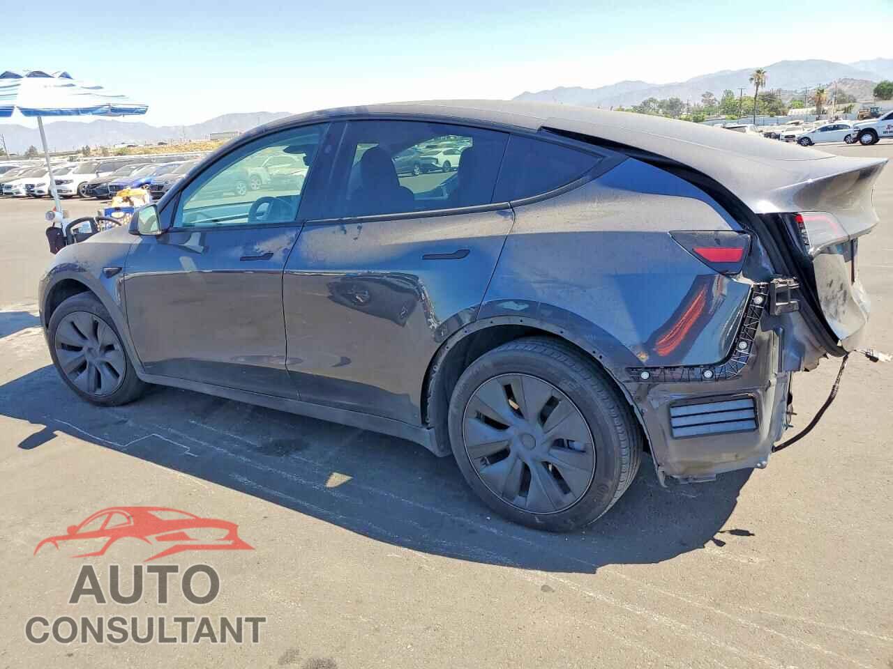 TESLA MODEL Y 2024 - 7SAYGDED1RF097907