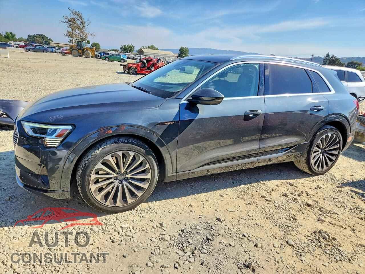 AUDI E-TRON 2019 - WA1VABGE3KB022561