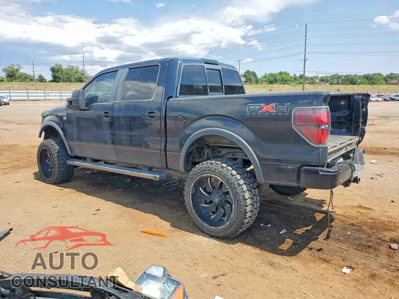 FORD F150 2011 - 1FTFW1EF5BFB73007