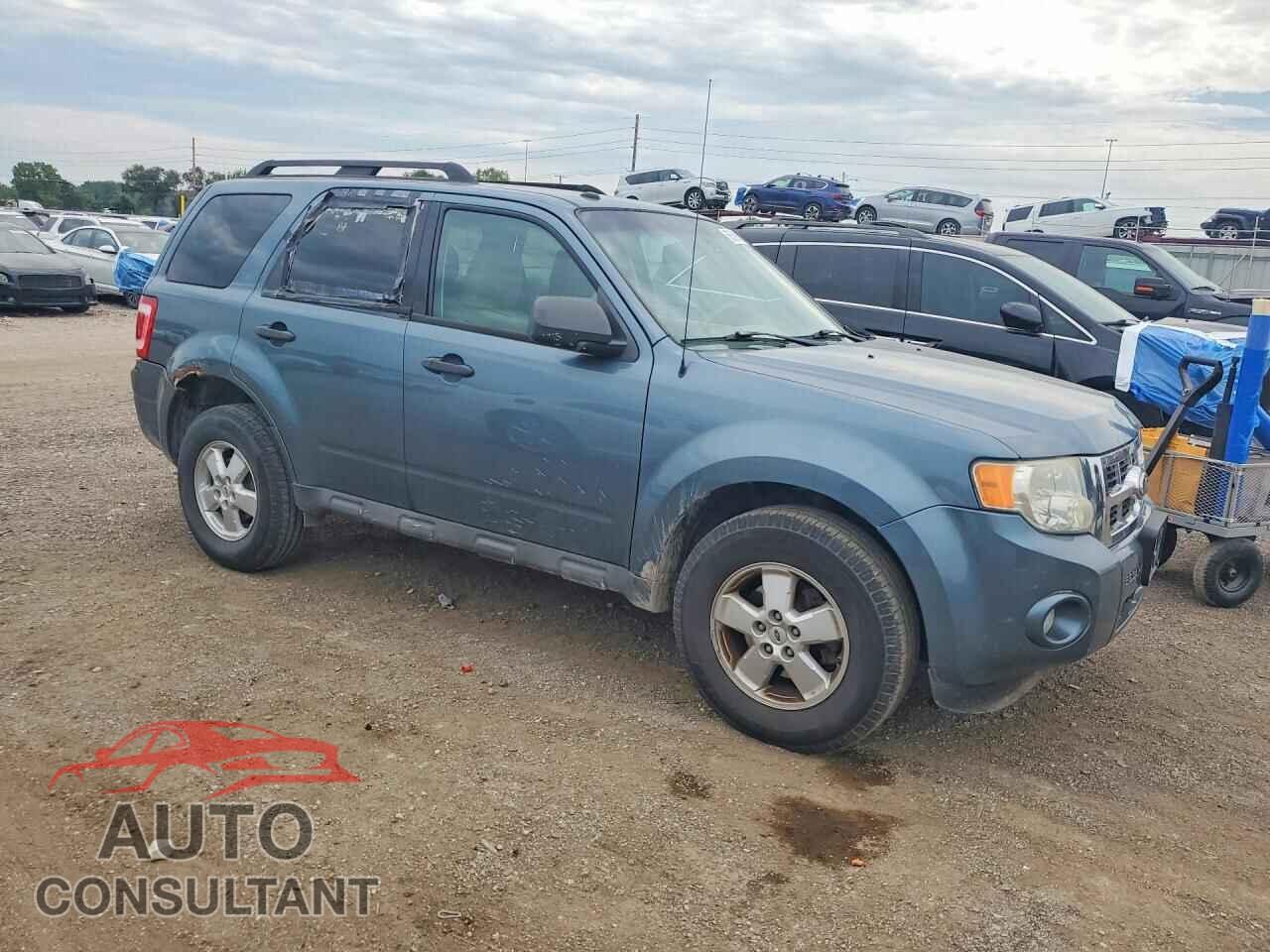 FORD ESCAPE 2010 - 1FMCU9D76AKB66585