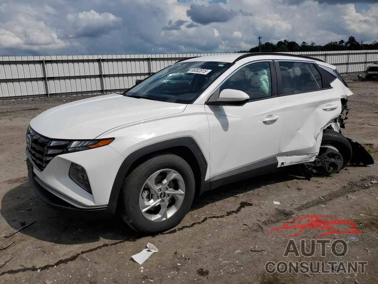 HYUNDAI TUCSON 2024 - 5NMJBCDE2RH374158
