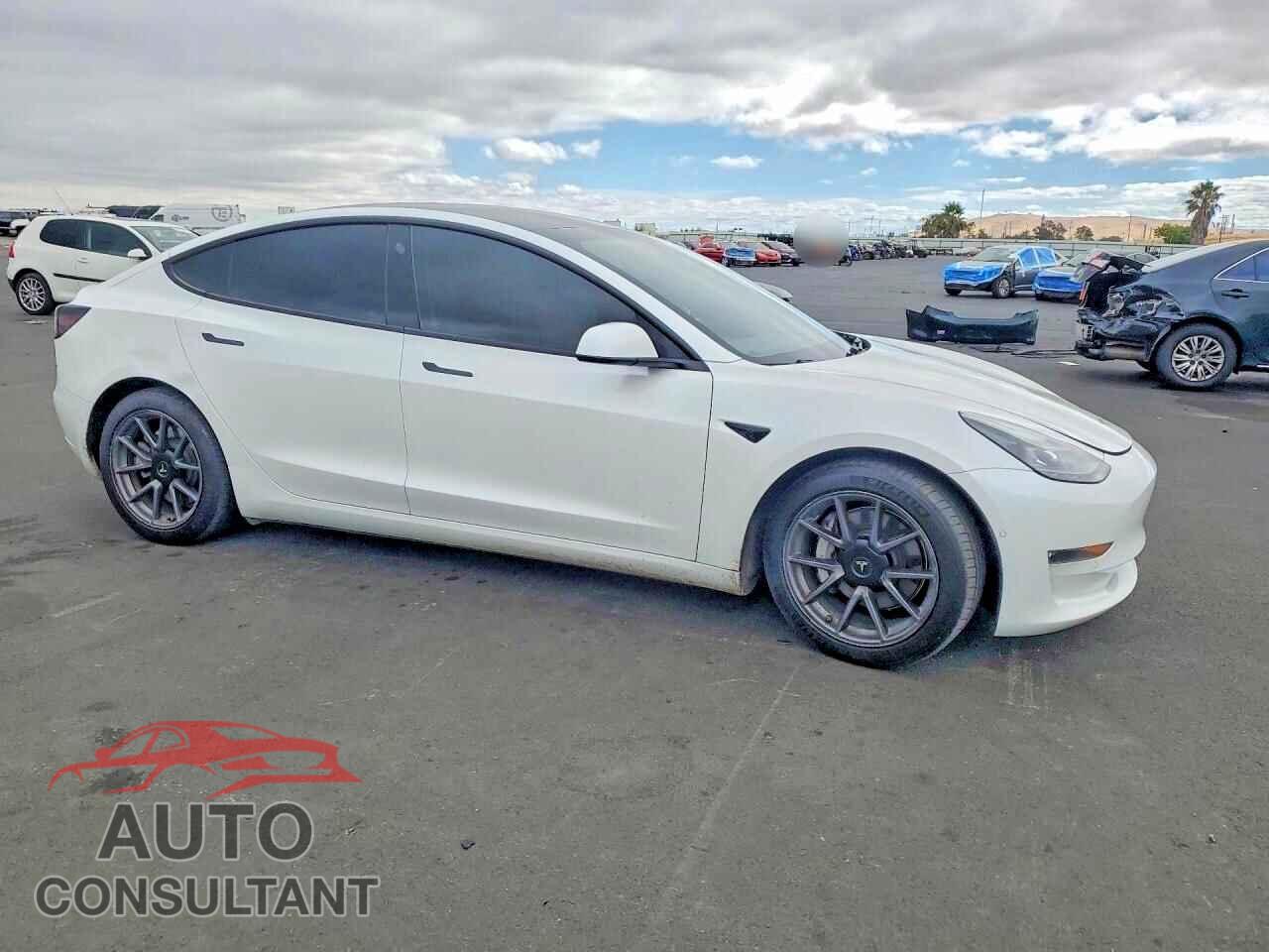 TESLA MODEL 3 2021 - 5YJ3E1EBXMF995540