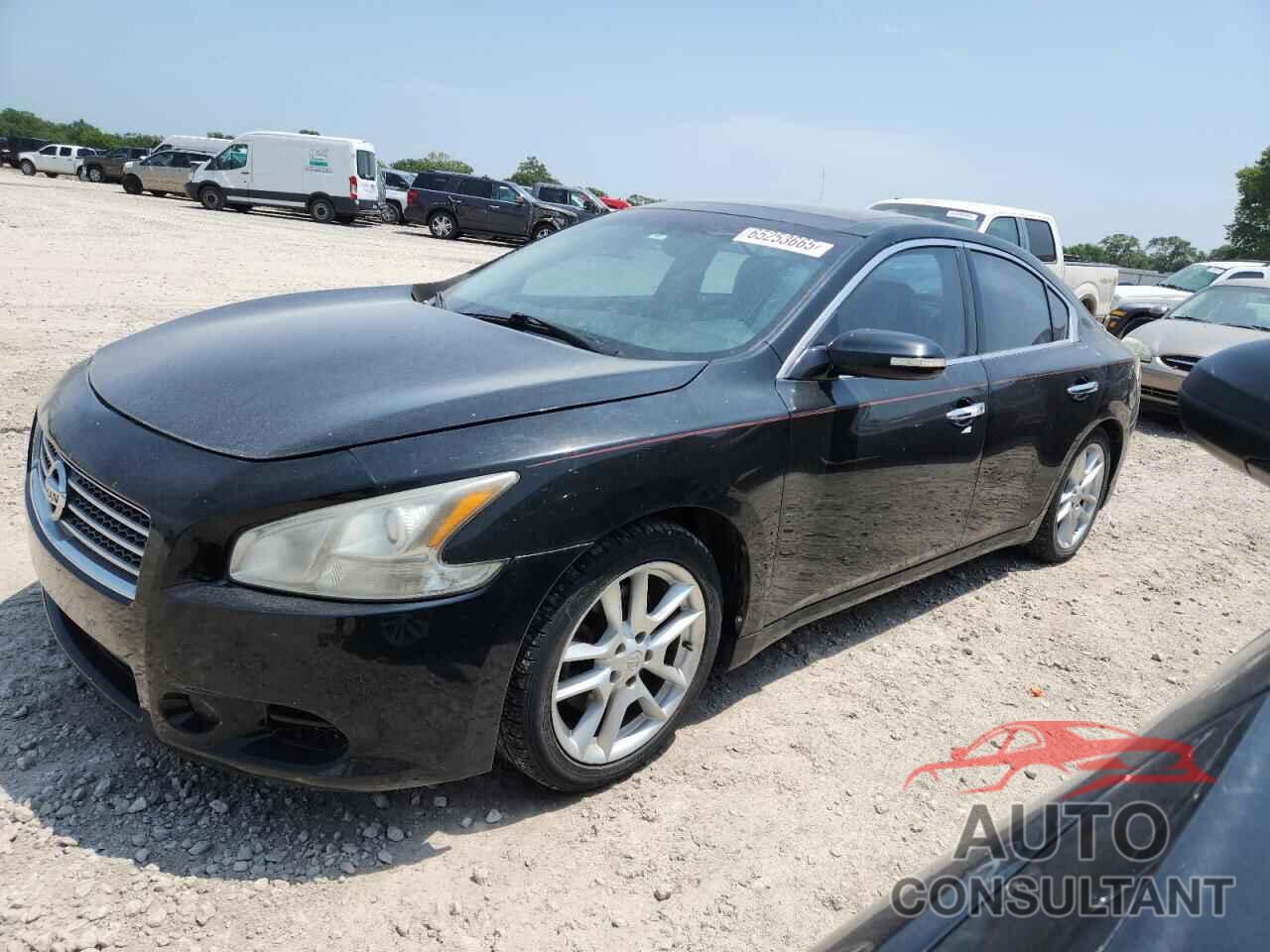 NISSAN MAXIMA 2009 - 1N4AA51E69C853643