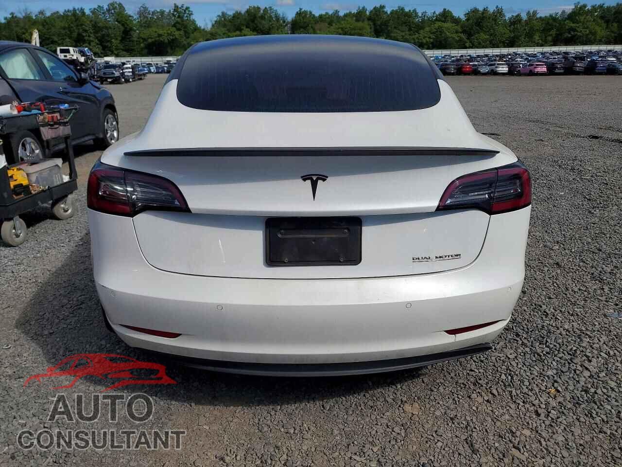TESLA MODEL 3 2019 - 5YJ3E1EB2KF510613