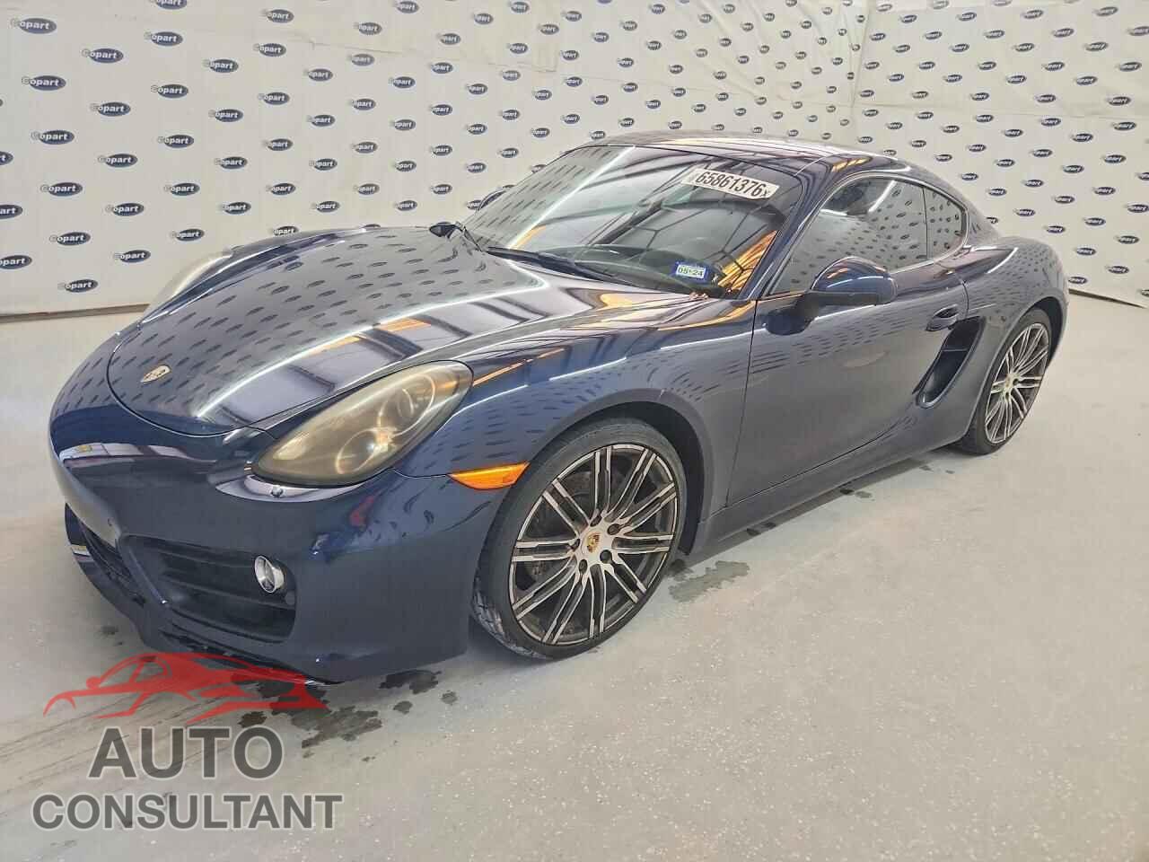 PORSCHE CAYMAN 2015 - WP0AB2A82FK183641