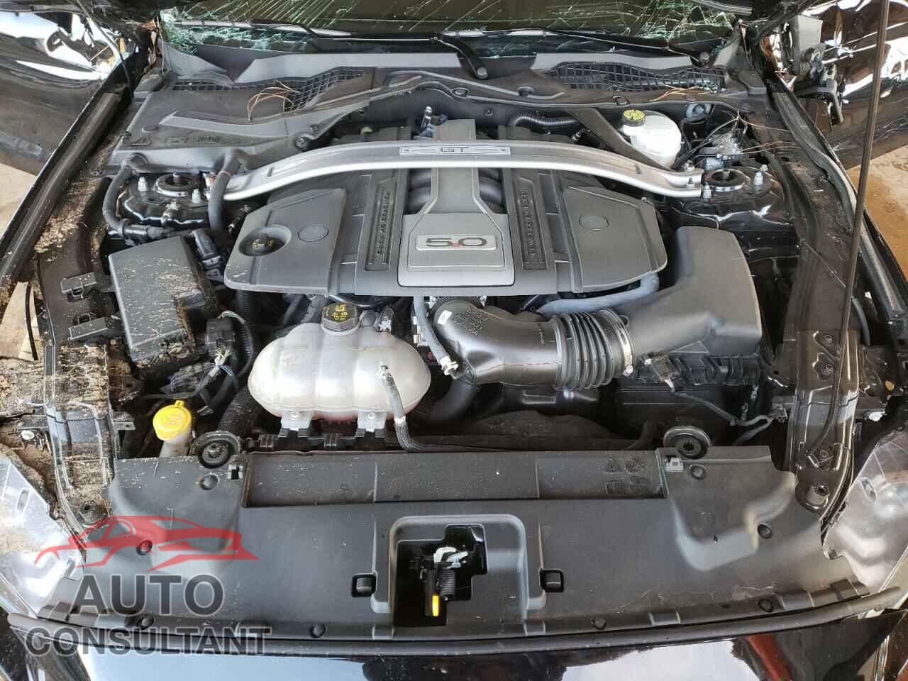 FORD MUSTANG 2019 - 1FA6P8CF5K5113040