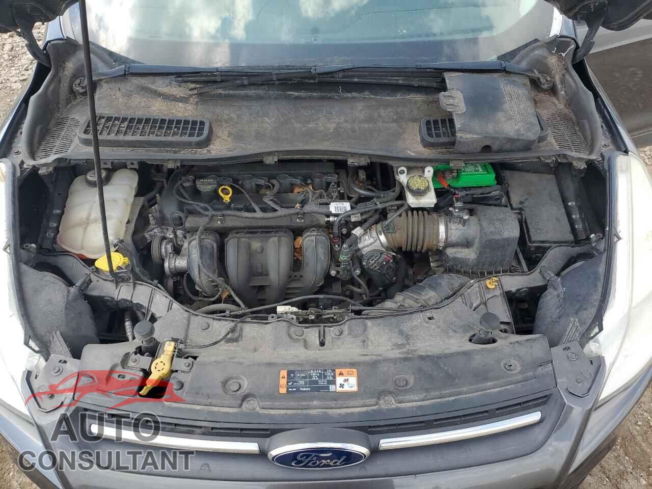 FORD ESCAPE 2015 - 1FMCU0G74FUB57984