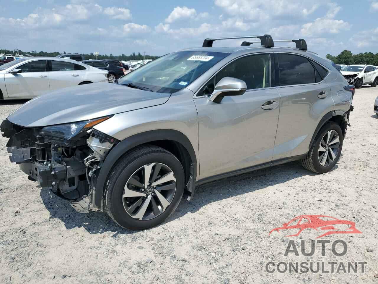 LEXUS NX 2019 - JTJBARBZ1K2188084