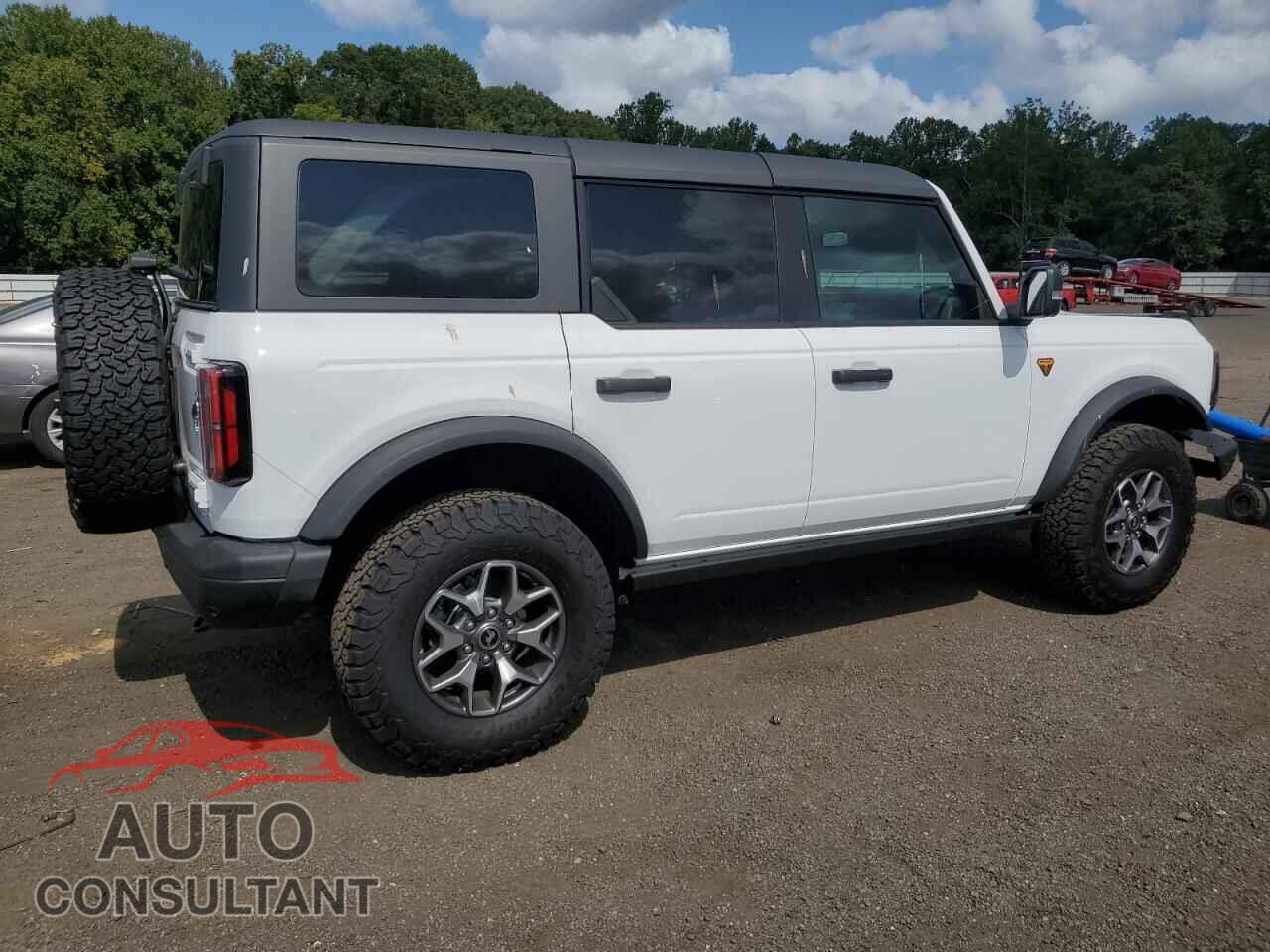 FORD BRONCO BAD 2024 - 1FMEE9BP8RLB10565