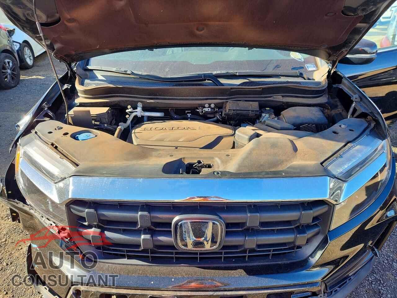 HONDA RIDGELINE 2024 - 5FPYK3F58RB007639